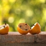 Immagine di oli essenziali e piante aromatiche per profumare la casa in modo naturale.