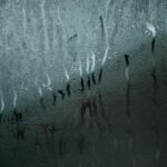 Immagine che illustra un metodo innovativo per eliminare l'umidità in casa.