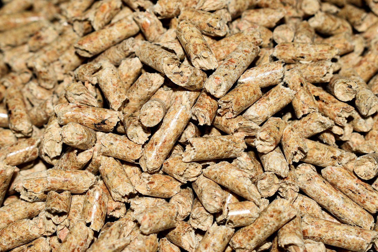 Stufa a pellet in un ambiente domestico, simbolo della nuova normativa 2025 per i proprietari.