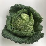 Cavolo nero fresco su un tagliere, pronto per essere cucinato secondo i consigli dello chef.
