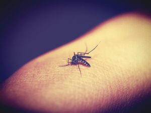 Flacone di repellente per zanzare su sfondo naturale, ideale per proteggersi dalle punture.